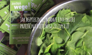 Jak bezpiecznie, mądrze i na dłużej przejść na dietę wege?