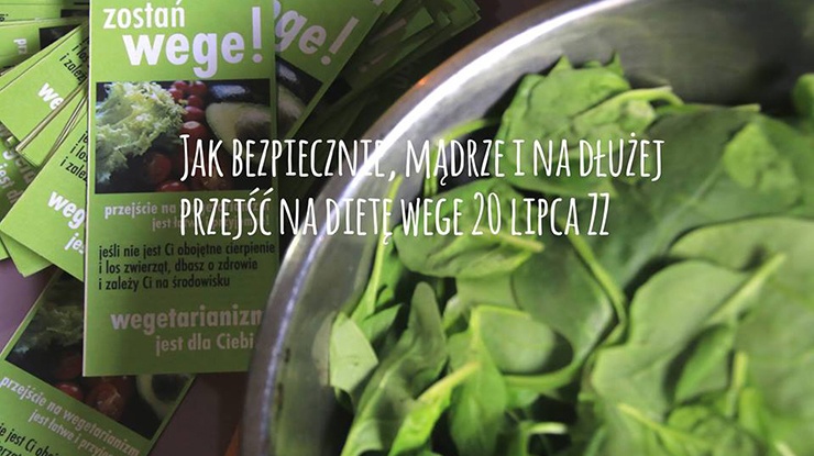 Jak bezpiecznie, mądrze i na dłużej przejść na dietę wege?